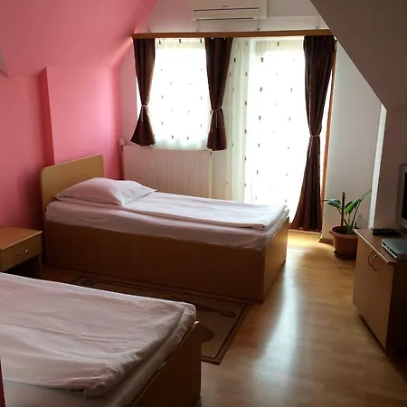 Pensiunea Simina Gasthuis 3*