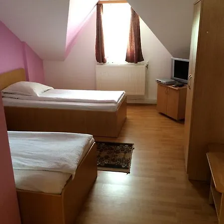 Gasthuis Pensiunea Simina 3*